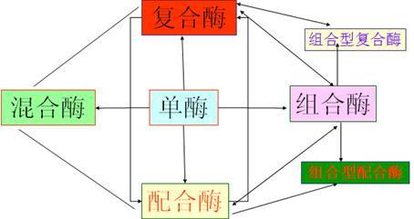 饲用酶制剂的产品现状与技术开发路线升级——基于冯定远教授BFC会议报告