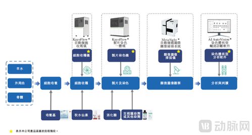 德适IPO上市首日开盘大涨121%，医疗影像AI迎来“大模型时代”新标杆